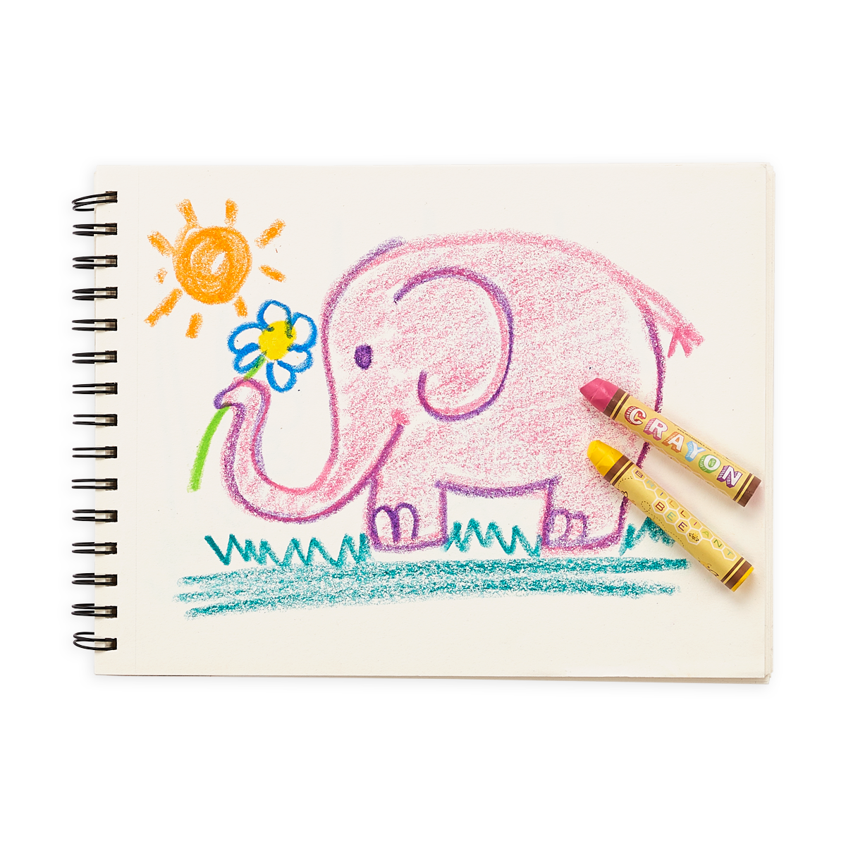Brilliant Bee: Crayons (Set of 12)