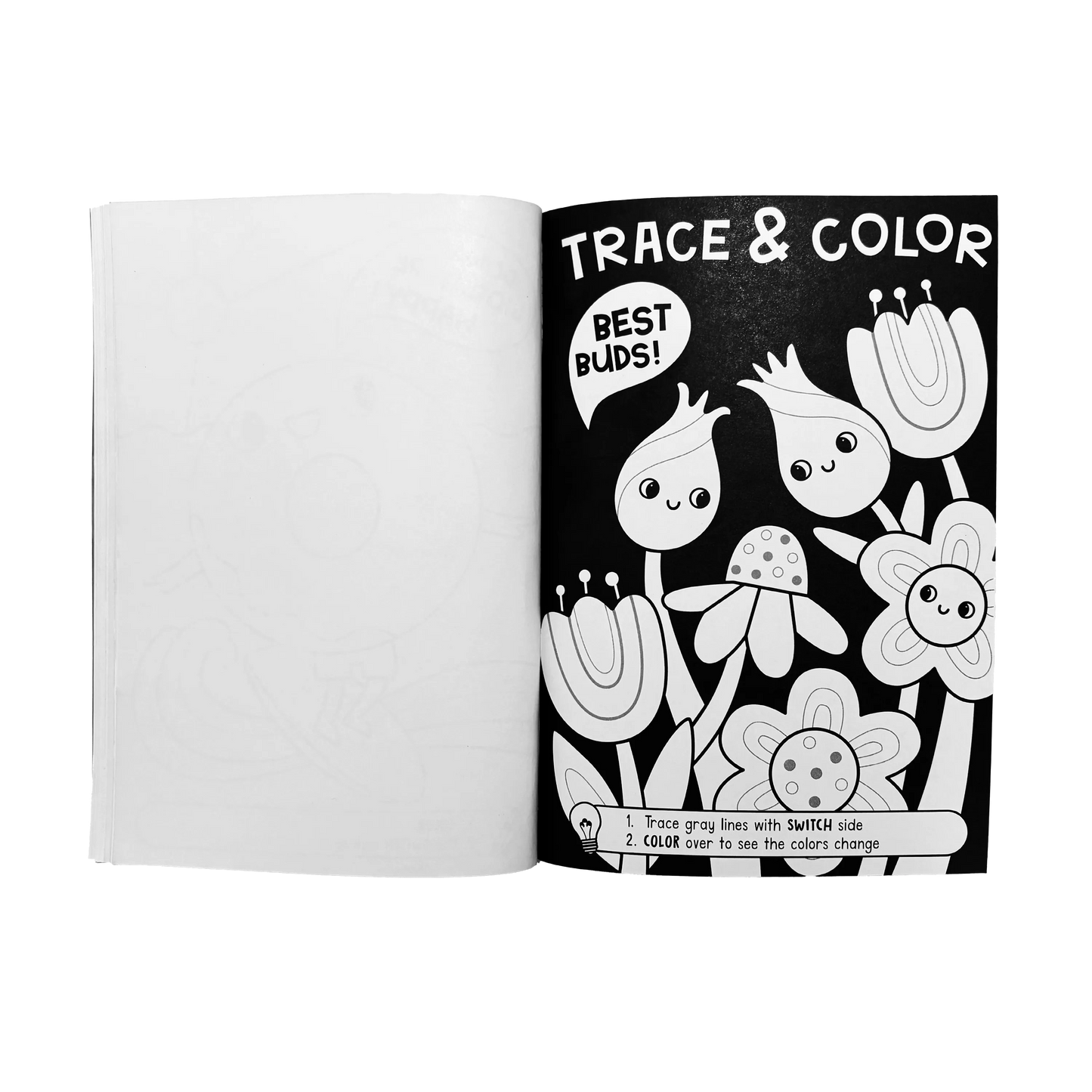 Switch-eroo!: Color-Changing Activity Kit