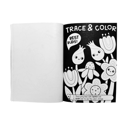 Switch-eroo!: Color-Changing Activity Kit